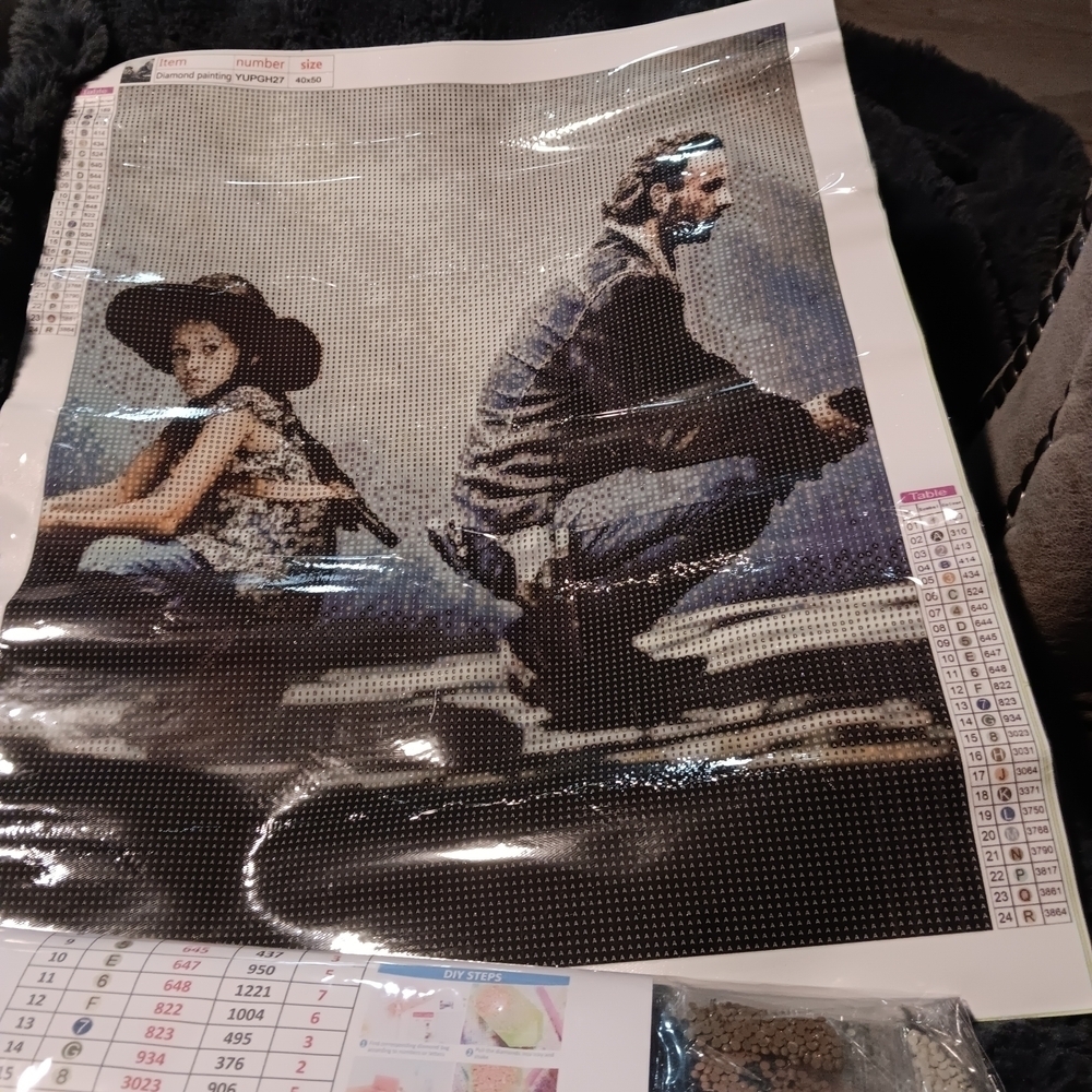 The Walking Dead Judith And Rick Diamond Art Painting Kit